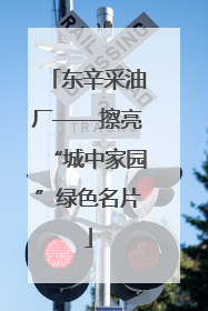东辛采油厂——擦亮“城中家园”绿色名片