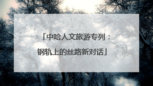 中哈人文旅游专列：钢轨上的丝路新对话