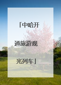 中哈开通旅游观光列车