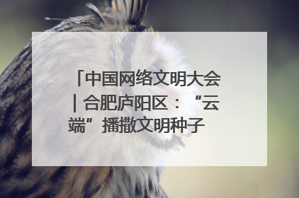 中国网络文明大会｜合肥庐阳区：“云端”播撒文明种子 共建清朗网络空间