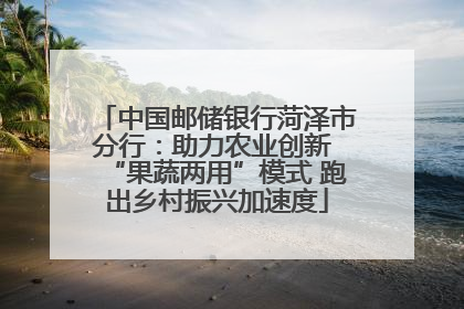 中国邮储银行菏泽市分行：助力农业创新 “果蔬两用”模式 跑出乡村振兴加速度