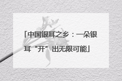 中国银耳之乡：一朵银耳“开”出无限可能