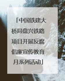 中国铁建大桥局盘兴铁路项目开展反腐倡廉宣传教育月系列活动