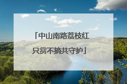 中山南路荔枝红 只赏不摘共守护
