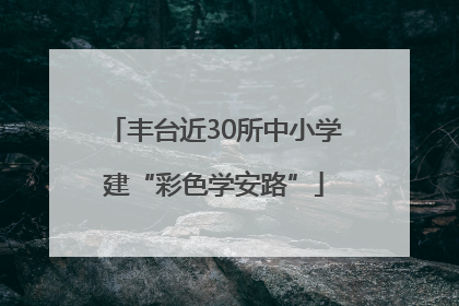 丰台近30所中小学建“彩色学安路”