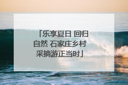 乐享夏日 回归自然 石家庄乡村采摘游正当时