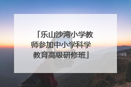 乐山沙湾小学教师参加中小学科学教育高级研修班