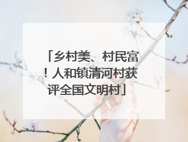 乡村美、村民富！人和镇清河村获评全国文明村