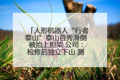 人形机器人“行者泰山”泰山首秀滑倒被抬上担架 公司：检修后独立下山 测试就是为暴露问题