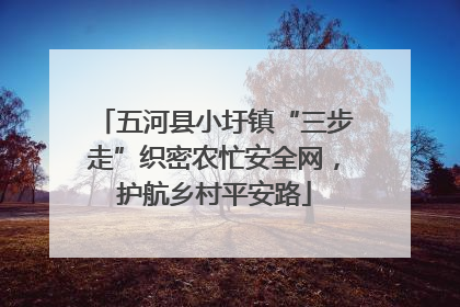 五河县小圩镇“三步走”织密农忙安全网，护航乡村平安路