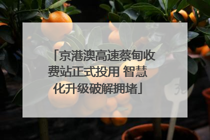 京港澳高速蔡甸收费站正式投用 智慧化升级破解拥堵