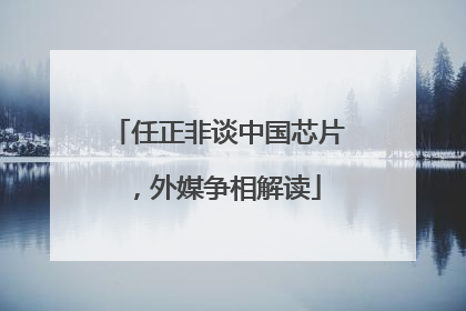 任正非谈中国芯片，外媒争相解读