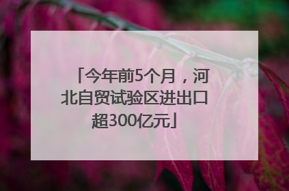 今年前5个月，河北自贸试验区进出口超300亿元