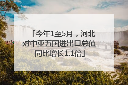 今年1至5月，河北对中亚五国进出口总值同比增长1.1倍