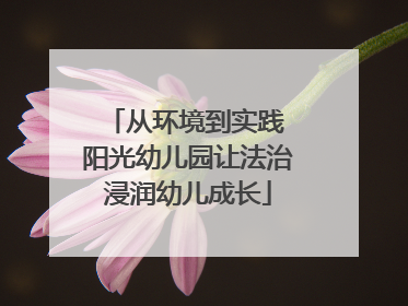 从环境到实践 阳光幼儿园让法治浸润幼儿成长