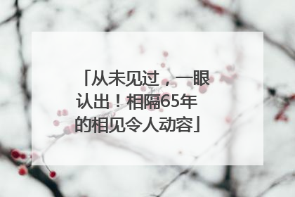 从未见过，一眼认出！相隔65年的相见令人动容