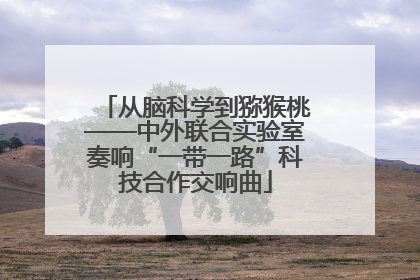 从脑科学到猕猴桃——中外联合实验室奏响“一带一路”科技合作交响曲