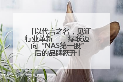 以代言之名，见证行业革新——绿联迈向“NAS第一股”后的品牌跃升