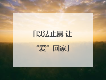 以法止暴 让“爱”回家