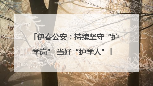 伊春公安：持续坚守“护学岗” 当好“护学人”