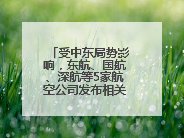 受中东局势影响，东航、国航、深航等5家航空公司发布相关航线退改政策
