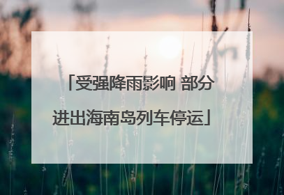受强降雨影响 部分进出海南岛列车停运