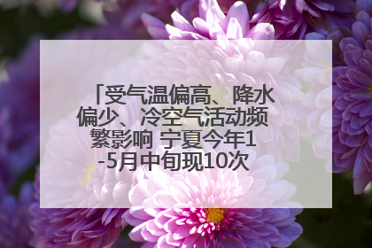 受气温偏高、降水偏少、冷空气活动频繁影响 宁夏今年1-5月中旬现10次定级沙尘天气过程
