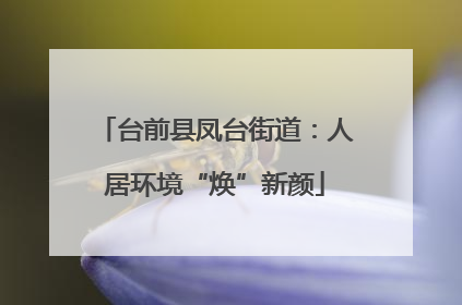 台前县凤台街道：人居环境“焕”新颜