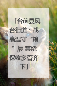 台前县凤台街道：战高温守“粮”辰 禁烧保收多管齐下