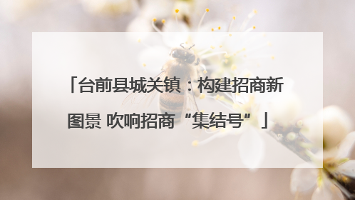 台前县城关镇：构建招商新图景 吹响招商“集结号”