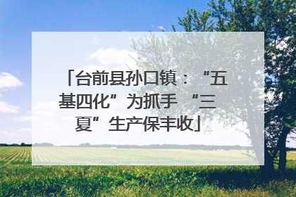 台前县孙口镇：“五基四化”为抓手 “三夏”生产保丰收