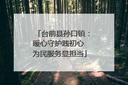台前县孙口镇：暖心守护践初心 为民服务显担当
