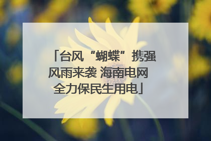 台风“蝴蝶”携强风雨来袭 海南电网全力保民生用电