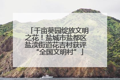 千亩葵园绽放文明之花！盐城市盐都区盐渎街道花吉村获评“全国文明村”