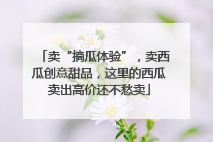 卖“摘瓜体验”，卖西瓜创意甜品，这里的西瓜卖出高价还不愁卖