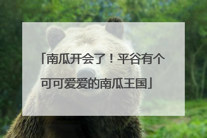 南瓜开会了！平谷有个可可爱爱的南瓜王国