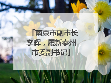 南京市副市长李晖，履新泰州市委副书记