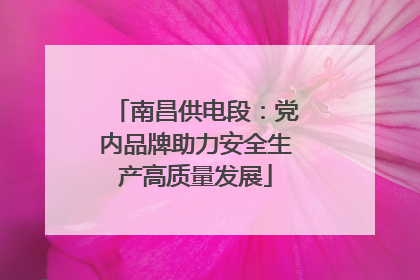 南昌供电段：党内品牌助力安全生产高质量发展