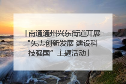 南通通州兴东街道开展“矢志创新发展 建设科技强国”主题活动