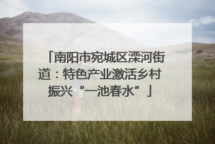 南阳市宛城区溧河街道：特色产业激活乡村振兴“一池春水”