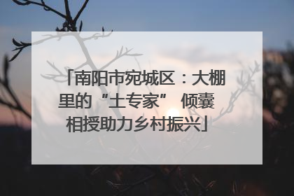 南阳市宛城区：大棚里的“土专家” 倾囊相授助力乡村振兴