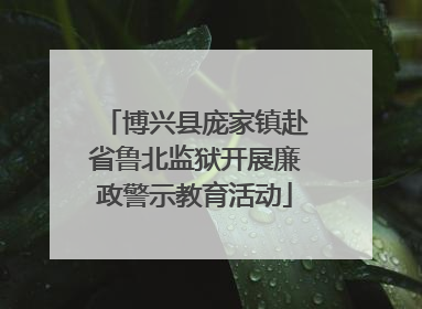 博兴县庞家镇赴省鲁北监狱开展廉政警示教育活动