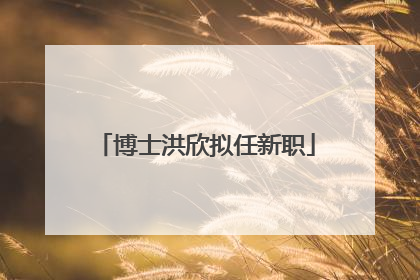 博士洪欣拟任新职