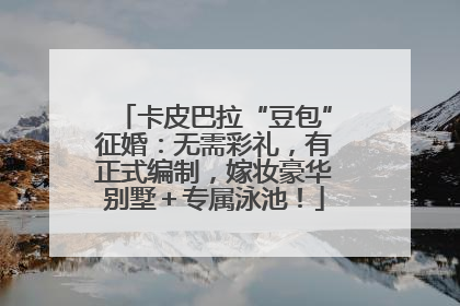 卡皮巴拉“豆包”征婚：无需彩礼，有正式编制，嫁妆豪华别墅＋专属泳池！