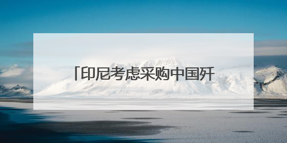 印尼考虑采购中国歼-10战斗机，可能还包括舰艇、护卫舰