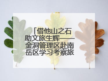 借他山之石 助文旅生辉——金洞管理区赴南岳区学习考察旅游发展工作