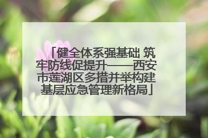 健全体系强基础 筑牢防线促提升——西安市莲湖区多措并举构建基层应急管理新格局