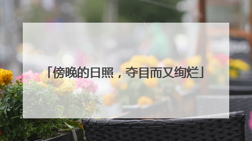 傍晚的日照，夺目而又绚烂
