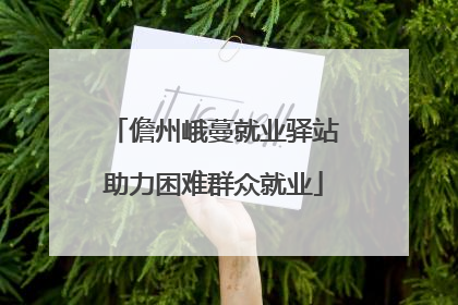 儋州峨蔓就业驿站助力困难群众就业