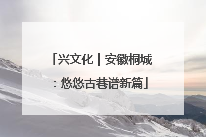 兴文化｜安徽桐城：悠悠古巷谱新篇